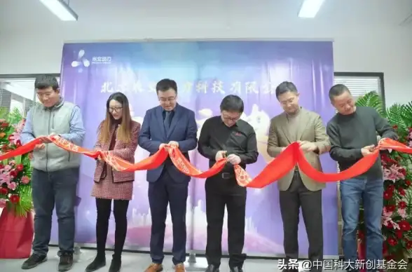 显卡排行🚀英伟达丽台显卡性能天梯榜单，全面对比助你高效选型