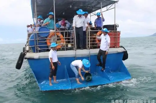 想随时随地畅享海量资源？大海资源库app满足你的下载需求！