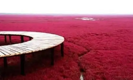 还在为旅行计划发愁？直观的3D地球探索软件带你提前预览全球奇观！