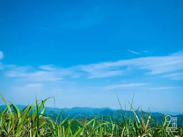 主流商店没有的宝藏APP哪里下？闪云软件库免费提供！