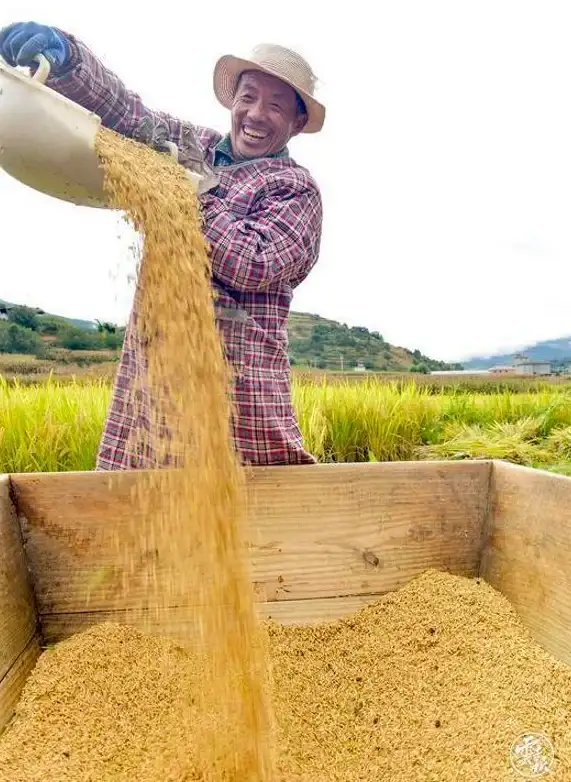 策略🔥冒险 王者2025热门王国游戏推荐 超好玩的顶级手游合集