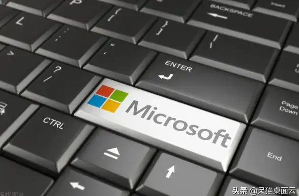 Win11升级 设置选项消失原因及解决方法详解