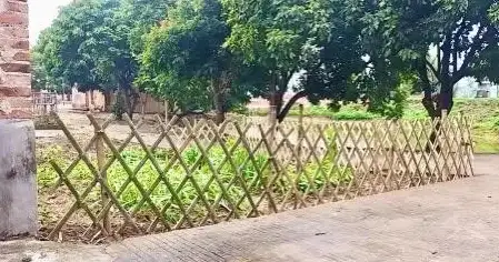 游戏动态🌱qq农场官方论坛新鲜资讯及热门玩法分享