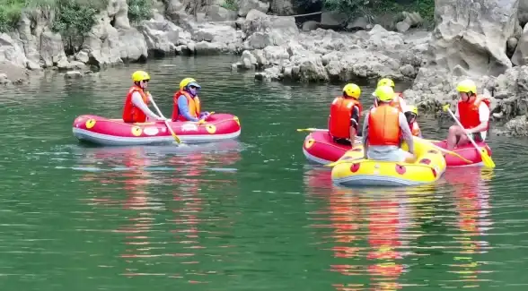 无线网络 畅享高速上网体验，详解wifi密码管理与无线网络优化