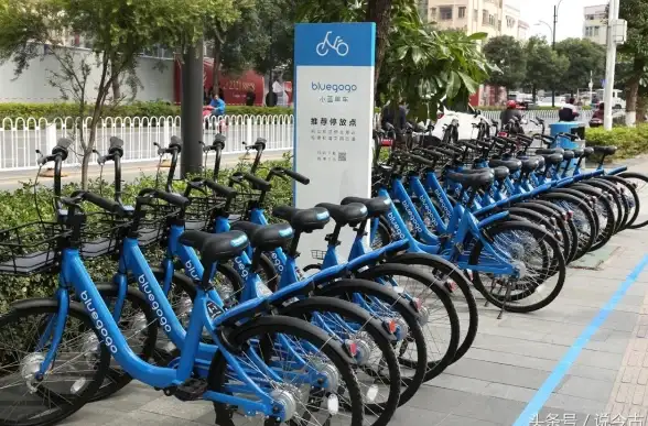 谁说视频和社交不能兼得？BluemvTips(小蓝)带你玩转互动社区！