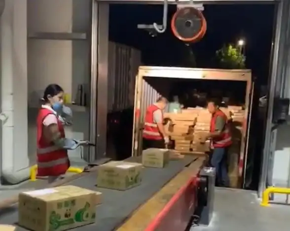 还在为工作效率发愁？顺丰顺手刷APP让快递员轻松提升配送速度！