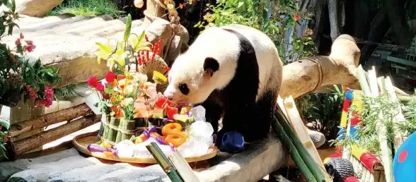 还在为修图烦恼？像素蛋糕APP一键美化照片，你试过了吗？