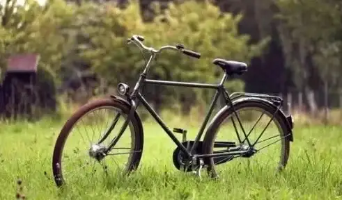 科技美学📱酷派手机：融合美学设计与强大功能的理想拍档