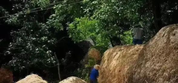 高效办公与学习如何兼得？试试小麦在线，体验超实用的在线协作工具！
