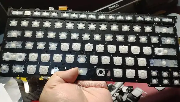电脑故障🖱键盘失灵怎么办？常见原因与处理办法全解析