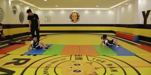 想要高效追踪健康数据？试试体适能，你的全能健身助手！