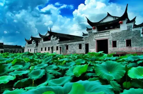 心动小镇新春季第三周四只虫位置全攻略详解