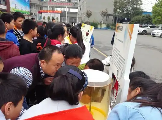 探索之旅🧩数学天梯图：揭开数学奥秘的探索之门