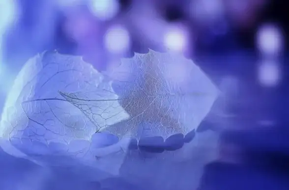 还在为琐事烦恼？口袋助手APP一键解决音乐、视频、图片处理等所有需求！