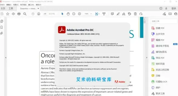 想要一款全能图片处理神器？照片编辑器APK在线版，一个工具满足所有需求！