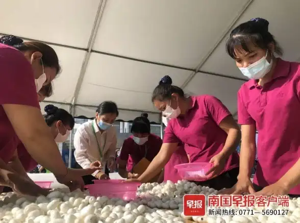手机急救📱手机进水了怎么办？教你高效自救和日常防护技巧