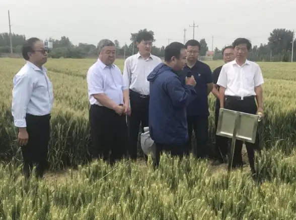 想轻松办理农作物种子备案？种业通APP一键查询进度，功能超全！
