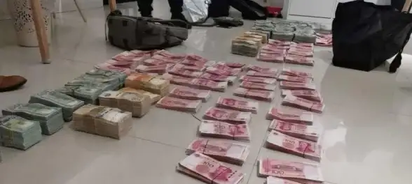 数据安全🔒u盾密码为您的信息保驾护航