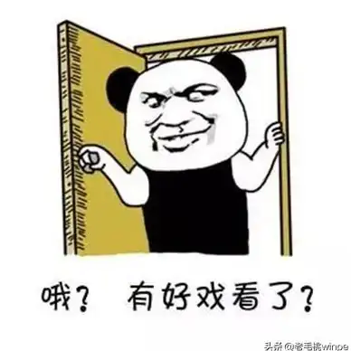 还在为提取图片文字发愁？试试识别字APP，快速准确扫描识别！