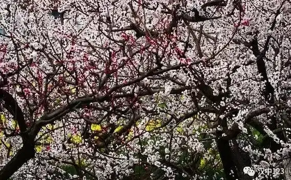 旅游攻略•深度游•自然风景｜丘陵之塔周边必打卡景点与超赞登山体验分享
