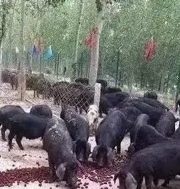 还在为找不到喜欢的短视频发愁？茄子短视频满足你的所有娱乐需求！
