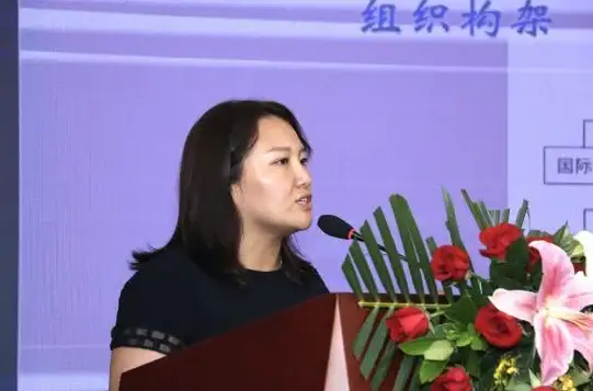 科技创新💻电脑系统城：智享未来的科技乐园