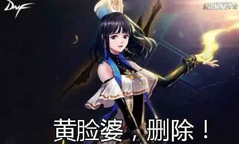 dnf风法团队作用与实战表现分析