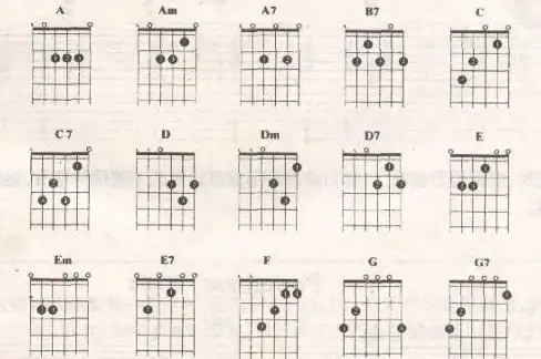 吉他🎸找谱神器：找吉他谱的软件盘点及使用体验分享