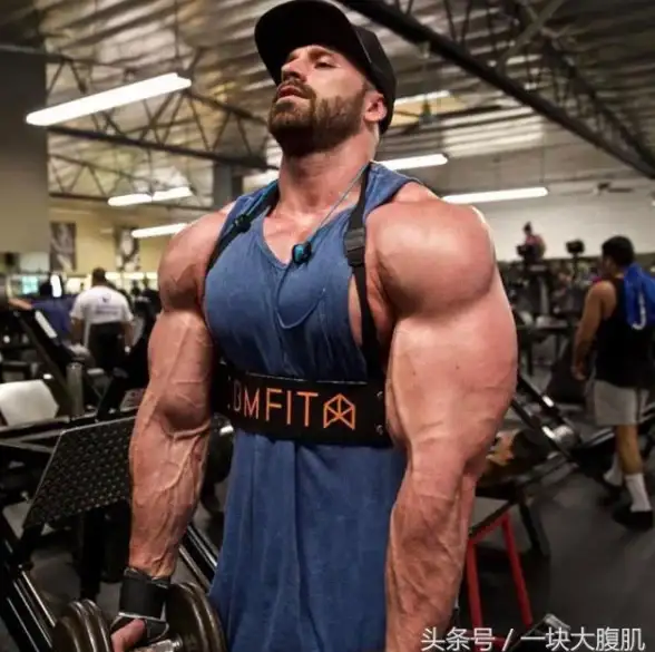 想要高效完成重复点击任务？这款自动点击助手你试过了吗？