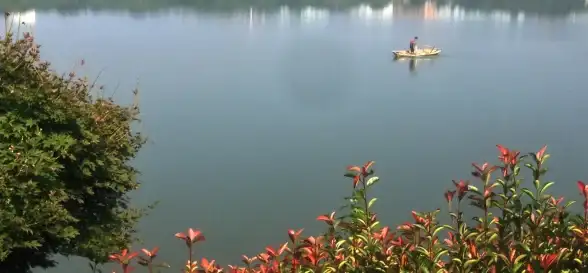 谁说找不到好用的手机阅读软件？东南小说APP的超全书库还不够吸引你吗？