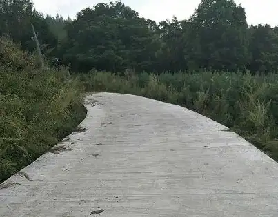 想高效管理团队绩效？HR小助手的强大统计功能你体验了吗？