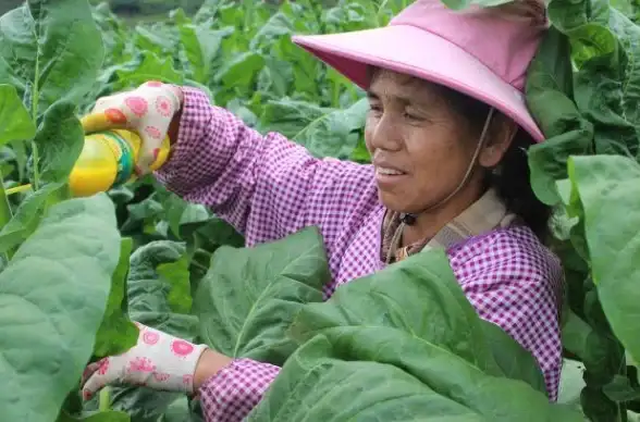 三花社区APP，你的手机里怎能缺少这款资源丰富的活力社区软件？