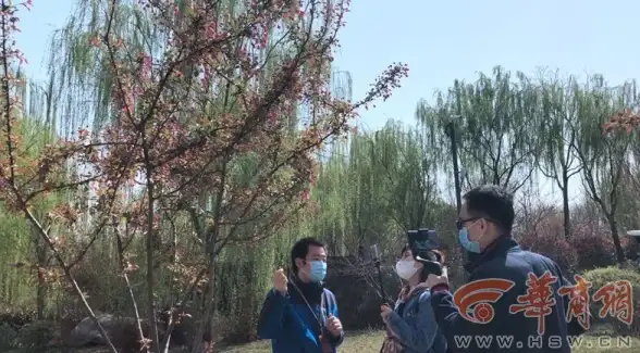 谁说好用的手机软件难找？海棠网app一键满足你的所有需求！