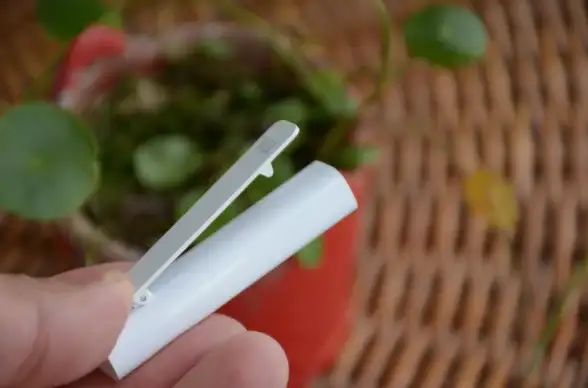 音频体验🎵小米耳机：畅享高品质音乐生活