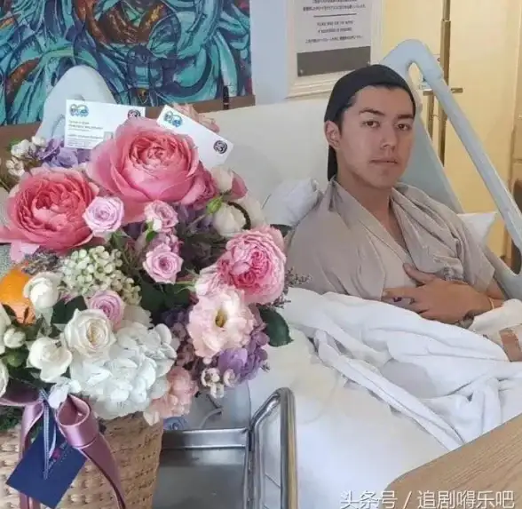 谁说追剧不能更轻松？桃子影视app满足你的所有需求！