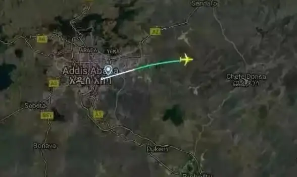 出国旅游必备神器，Flightradar24实时航班追踪难道不香吗？