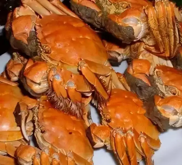 还在为游戏探索烦恼？试试光遇小螃蟹辅助器app，让你的冒险之旅更轻松！