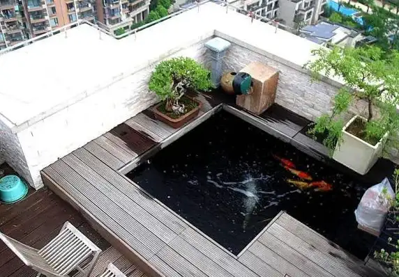 想要享受高品质视频观赏体验？玄月视频app不就是你的最佳选择吗？