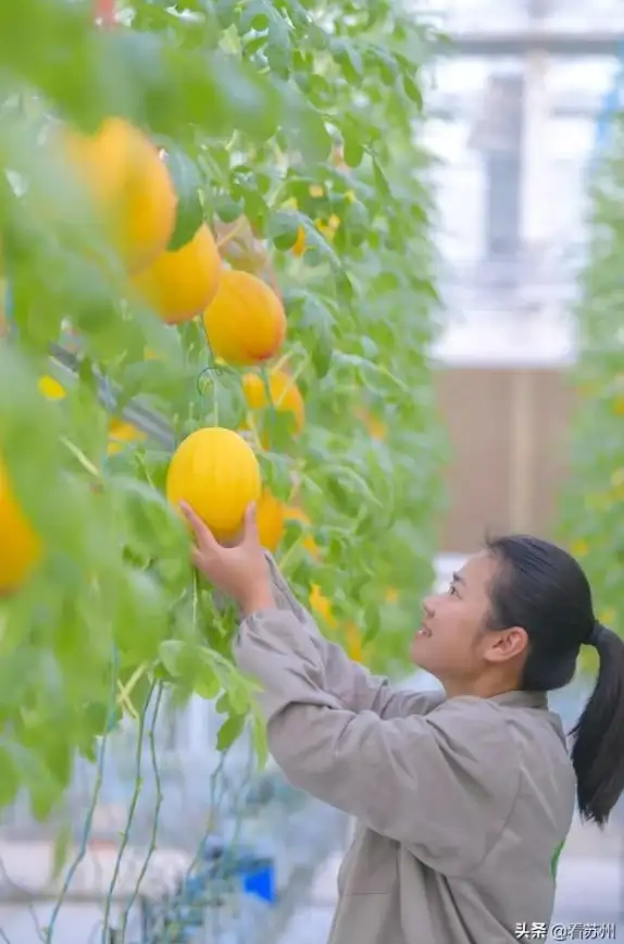 如何精准监控手机资源使用情况？试试用量分析APP吧！