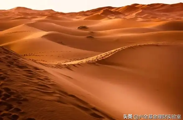 蚂蚁森林助手APP，你的种树小帮手怎能缺少？