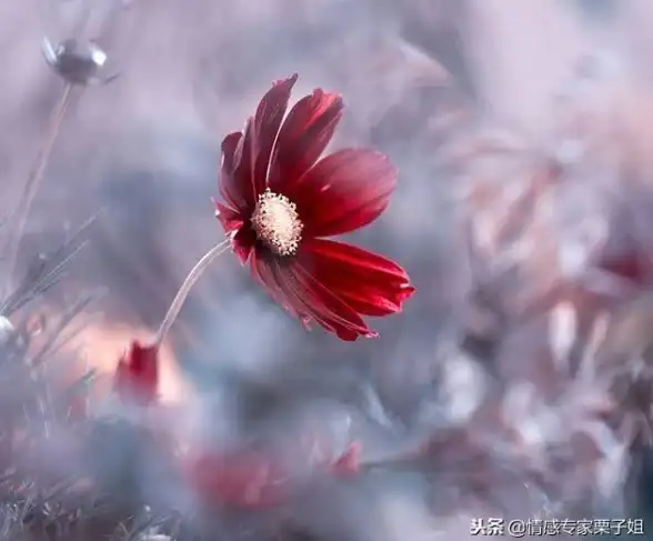 如何让多个抖音账号同时在线？分身大师一键搞定！