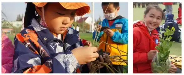 热门爆款✦高收益✦采摘秘籍 星露谷物语最值钱蘑菇及最佳采摘地点揭秘