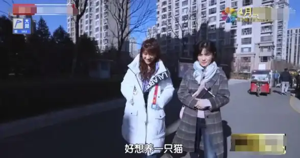 想和爱宠无障碍交流？试试这款猫叫模拟器APP！