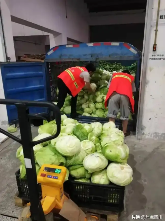 美团买菜APP，谁说买菜一定要出门？手机下单，新鲜食材送到家！