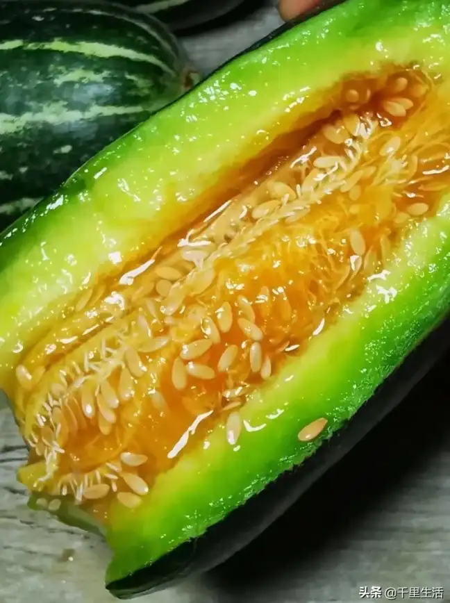 想体验流畅的阅读享受？甜瓜小说让你爱不释手！