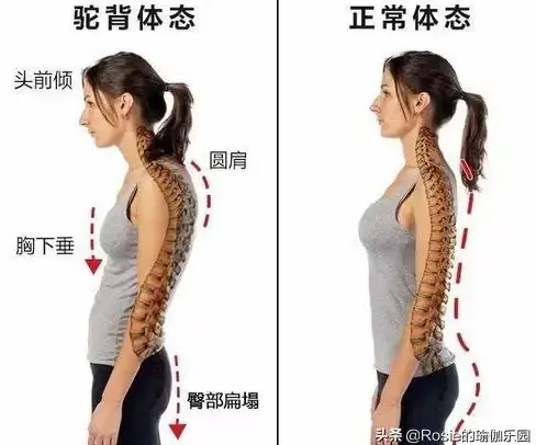 高效办公💡定时关机设置，电脑省电又省心助力提升工作效率