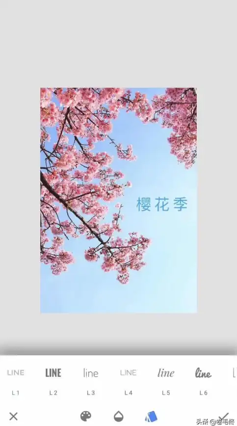 萌文字APP，谁说文字不能又萌又实用？快来体验吧！