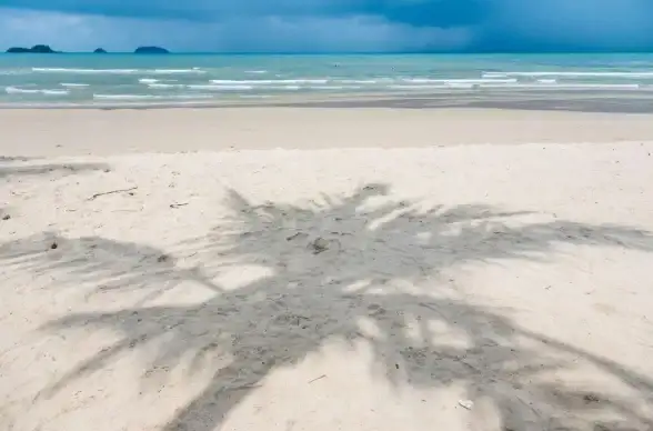 还在为创作烦恼？imyai智能助手APP让你轻松玩转AI写作、编程与绘画！