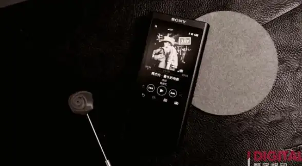音频发烧友🎵高品质音乐享受指南：为何选择FLAC无损音频格式