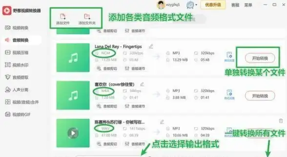 音频发烧友🎵高品质音乐享受指南：为何选择FLAC无损音频格式